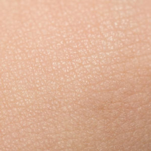 An extreme close-up of tanned skin on male hand.